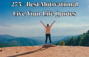 Motivational Live Your Best Life Quotes