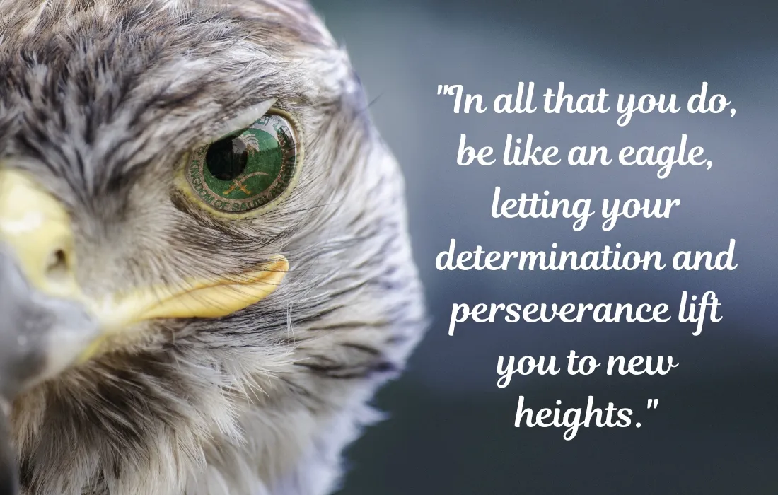 Be Like an Eagle Quotes