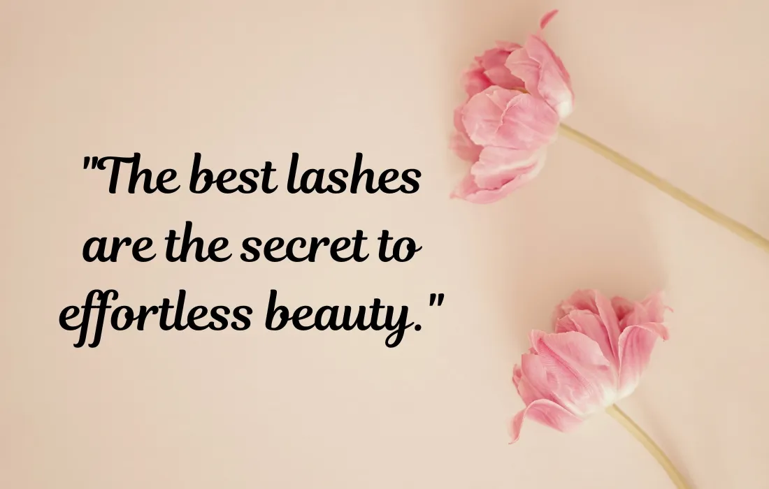 Best Lash Quotes