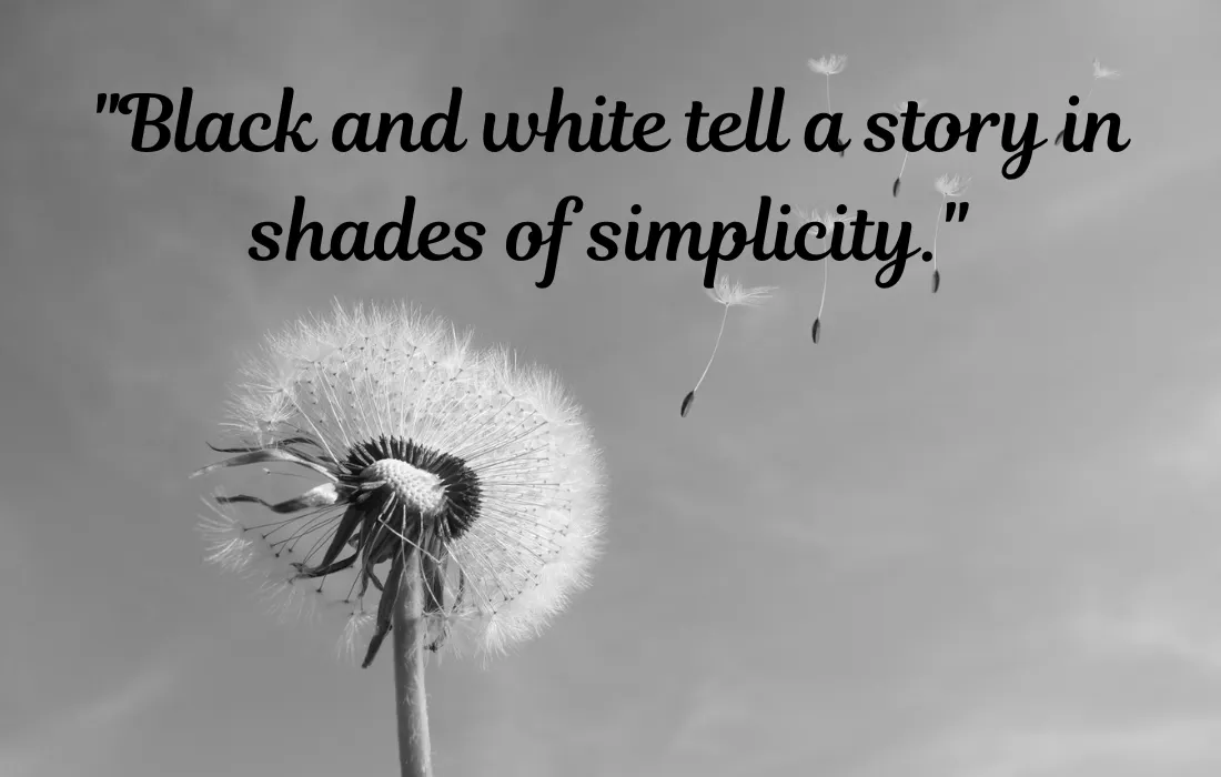 Black And White Color Quotes