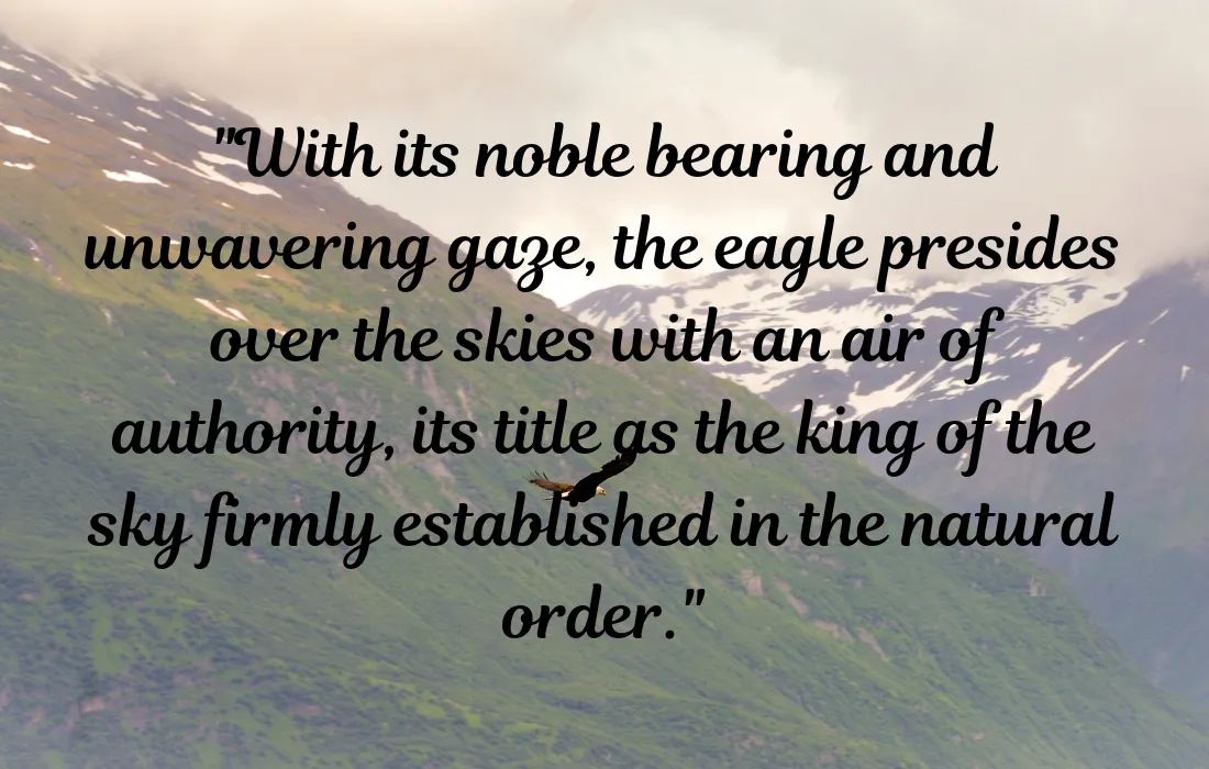 Eagle Quotes Describing The King Of The Sky In Nature