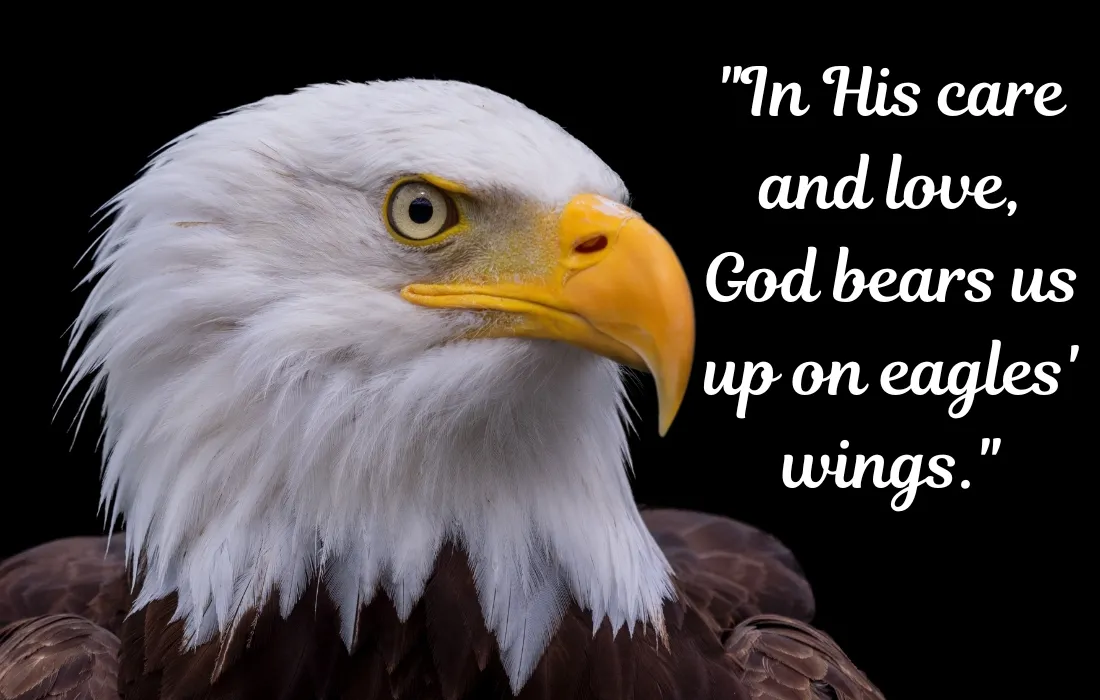 Eagle Quotes in the Bible