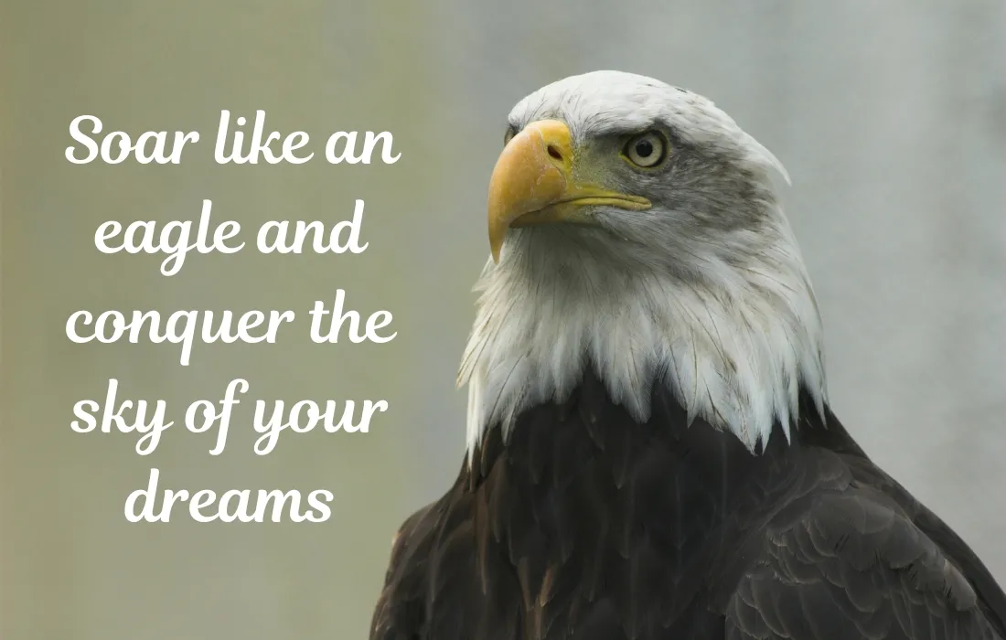 Eagle Quotes