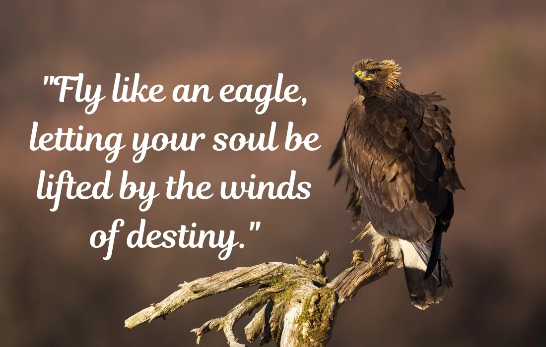 Fly Like an Eagle Quotes