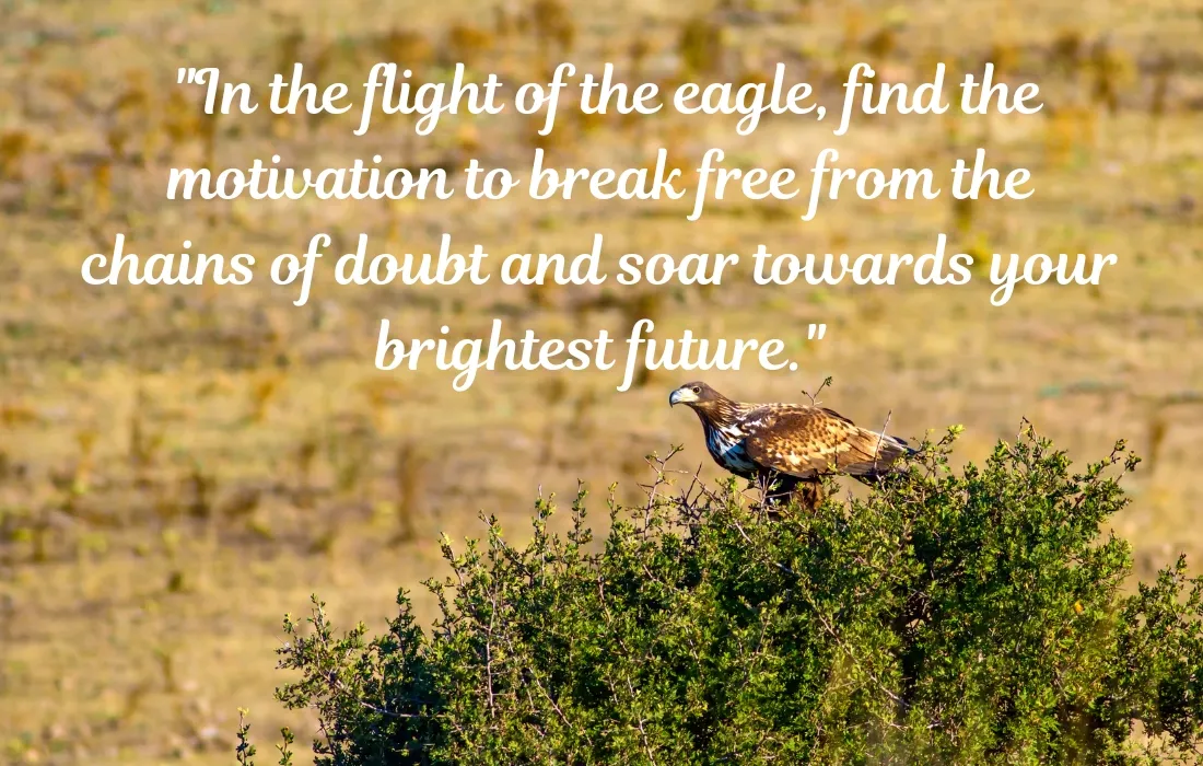 Motivational Eagle Quotes