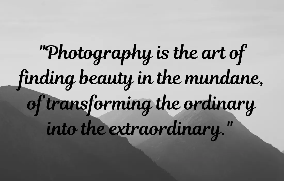 Quotes About Photography And Art