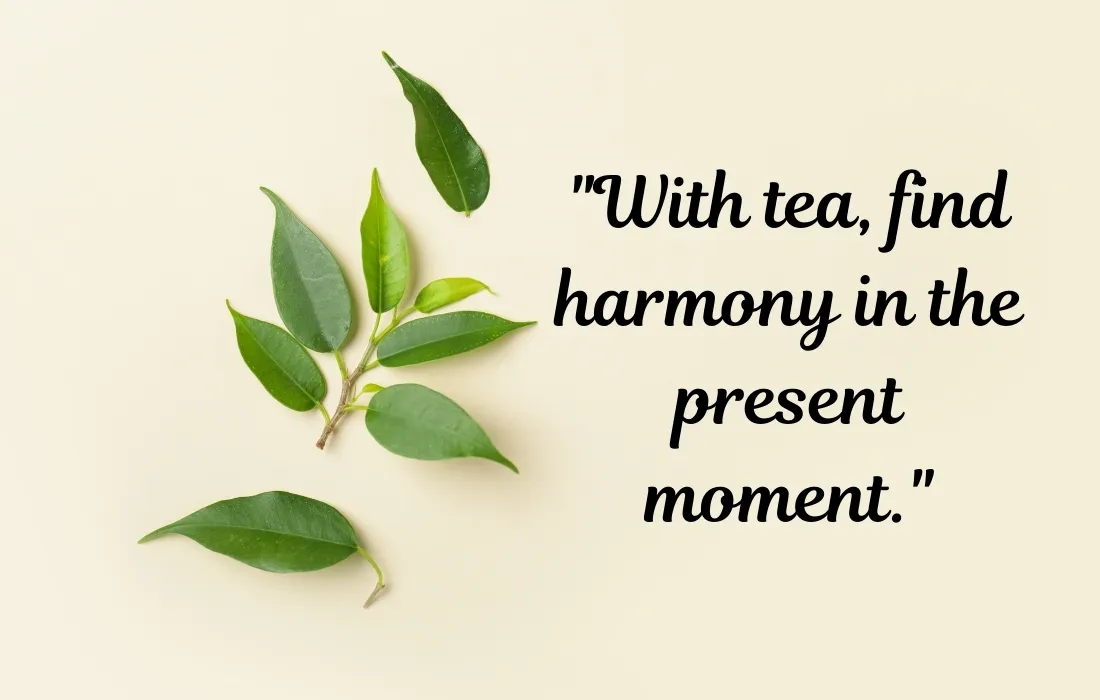 Serene & Reflective Tea Quotes