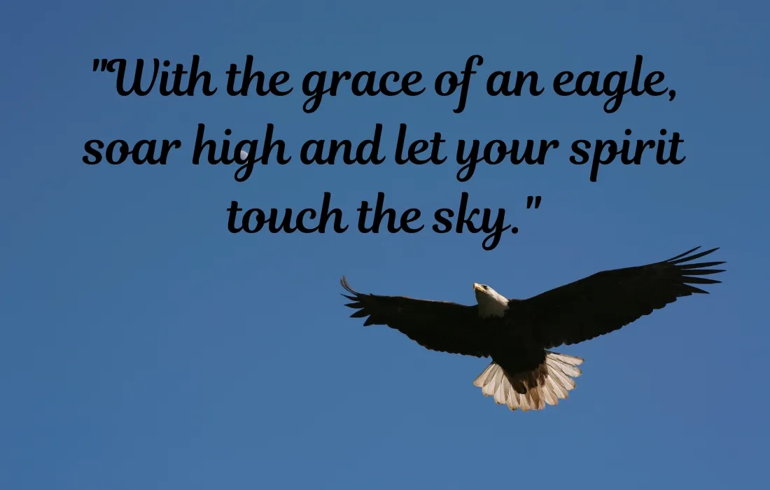 Soar Like an Eagle Quotes