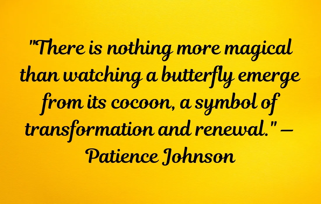 Beautiful Quotes About Butterflies