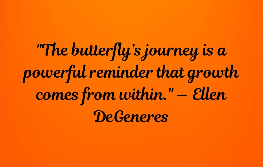 Butterfly Quotes About Life’s Journey