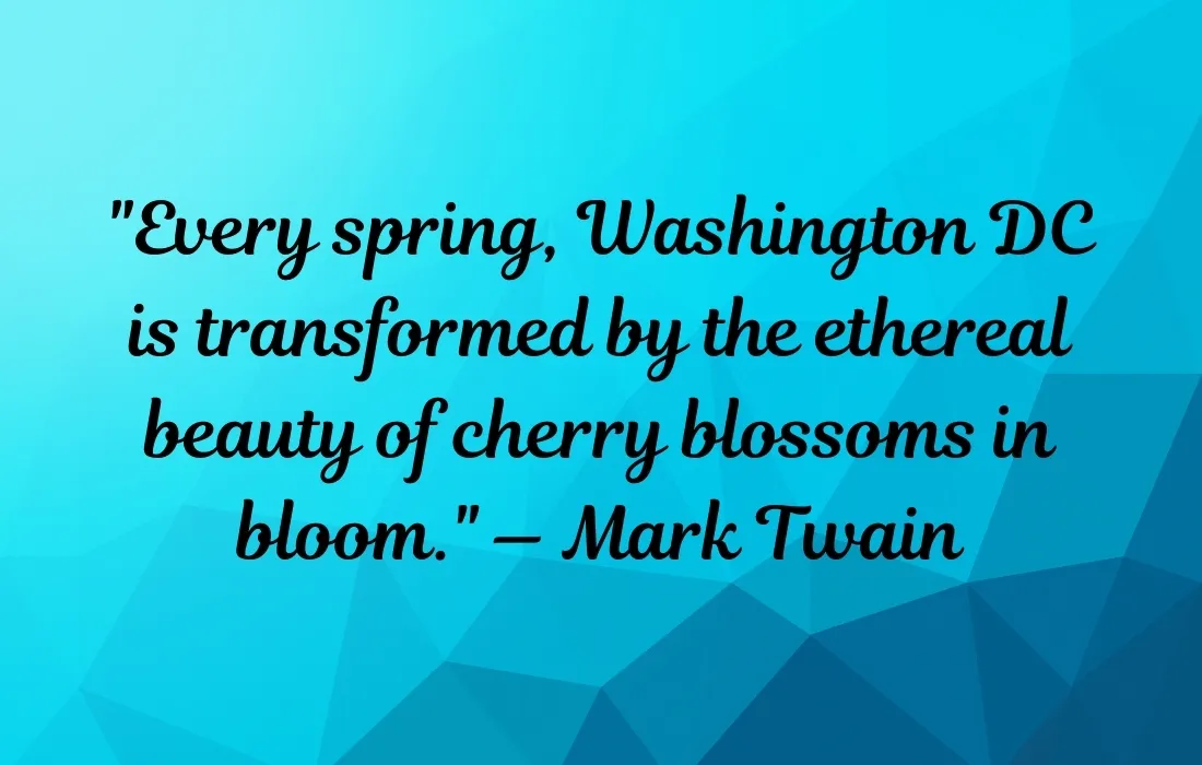 Cherry Blossom Quotes about Washington DC