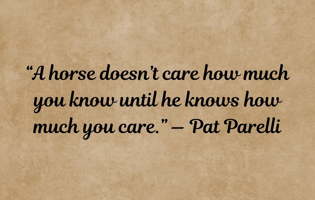 Cowgirl Quotes About Horses