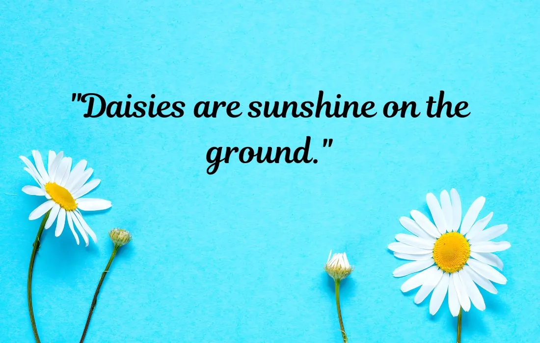 Daisy Quotes