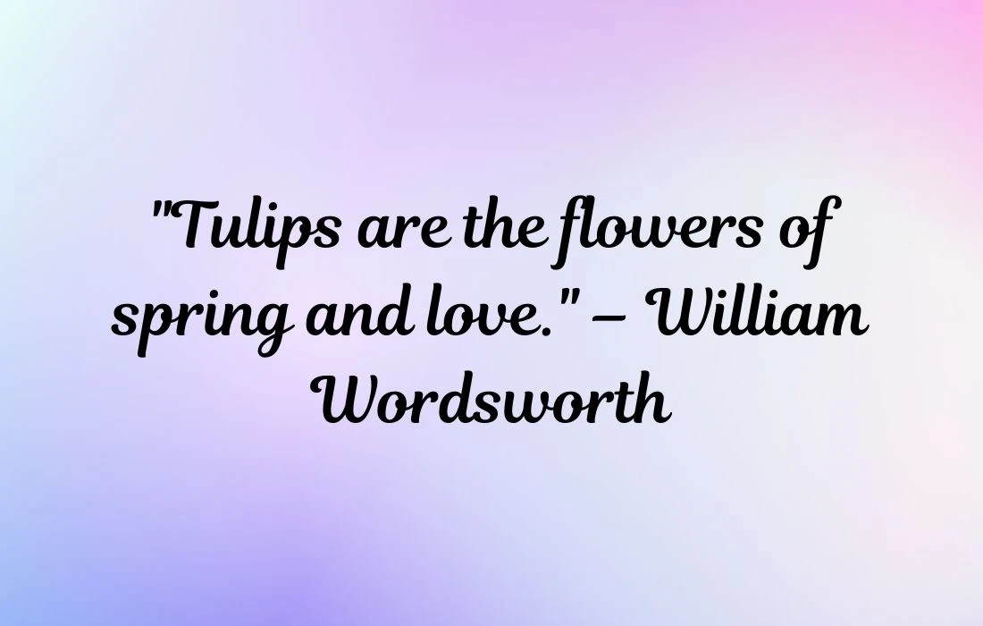 Famous Tulip Quotes