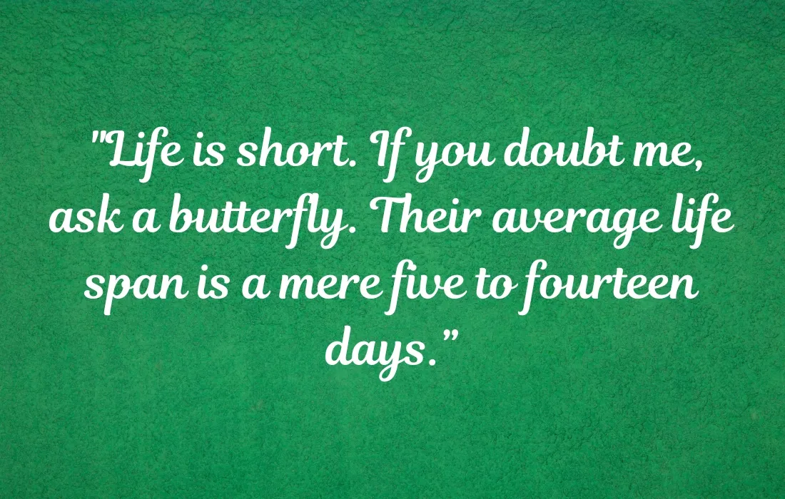 Funny Butterfly Quotes