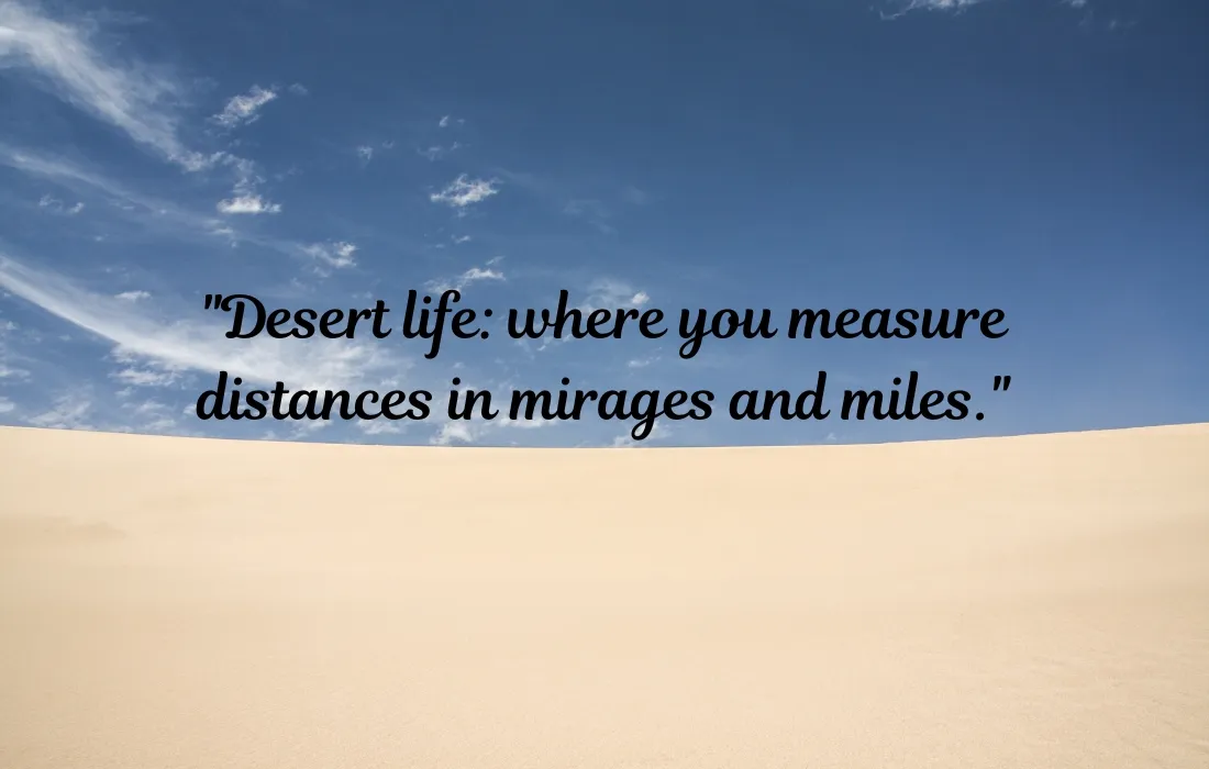 Funny Desert Quotes