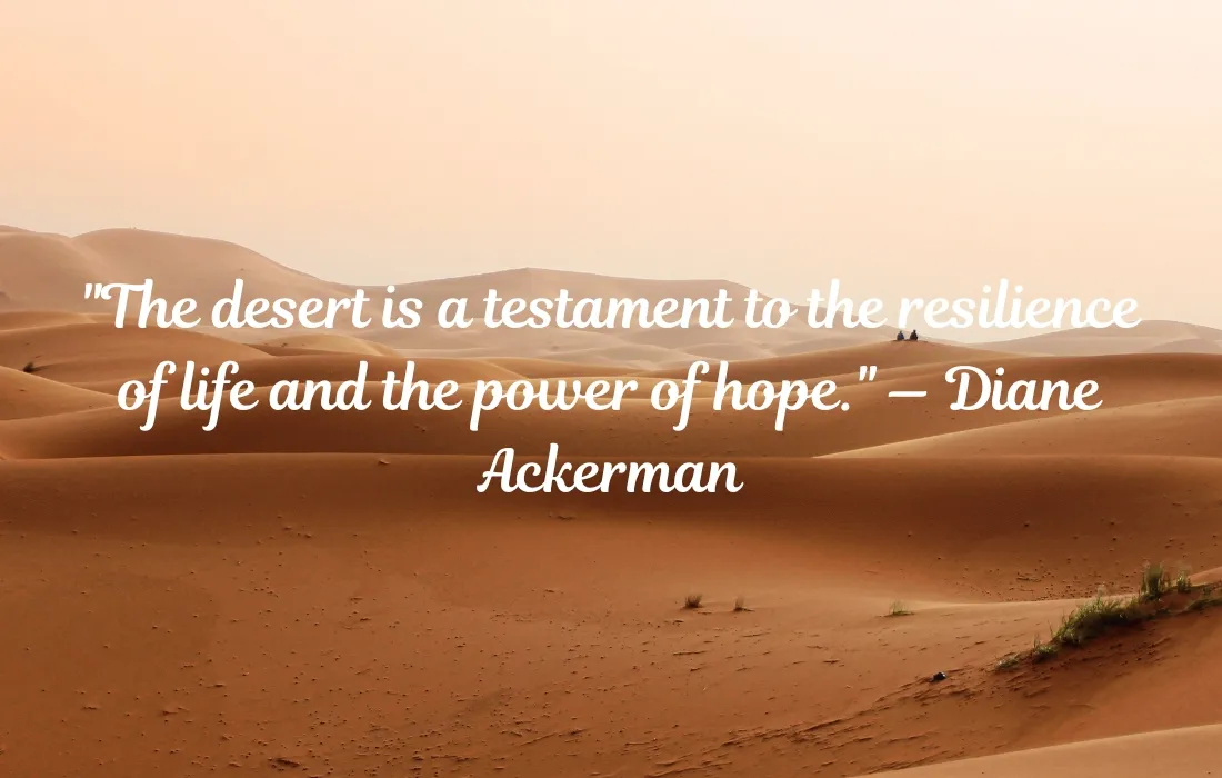 Inspirational Desert Quotes