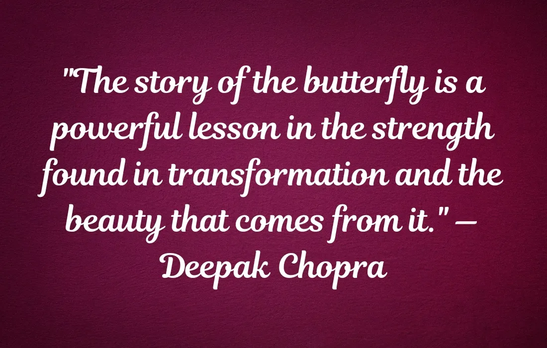 Inspirational Quotes About Butterflies