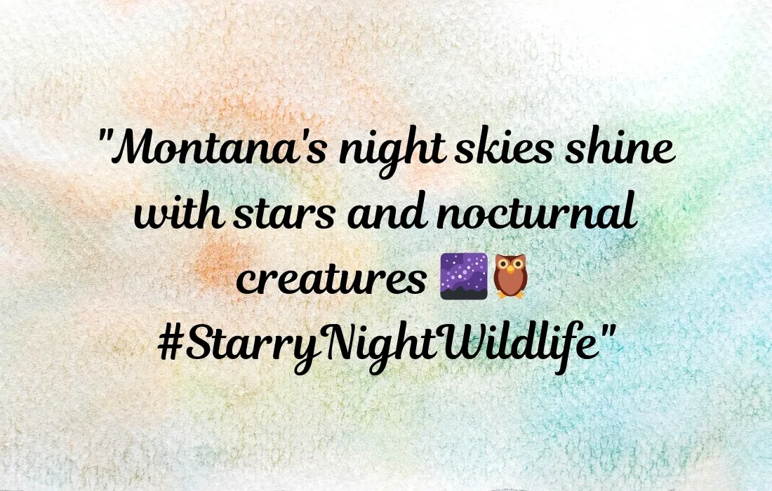 Montana Captions for Instagram for Wildlife Lovers