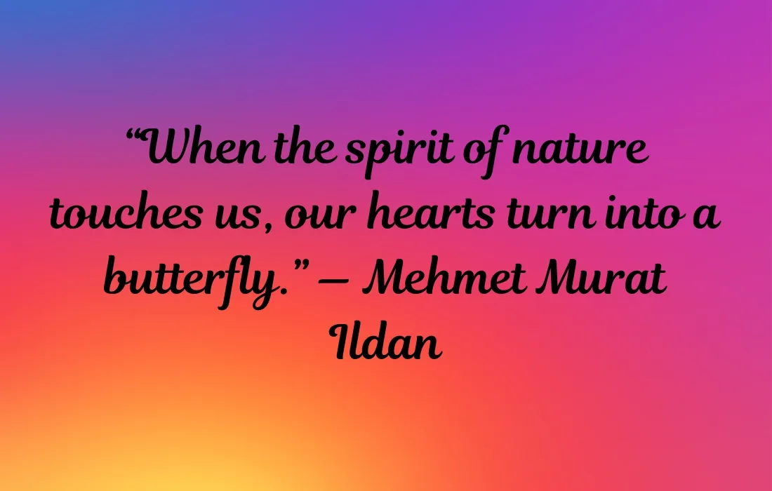 Quotes About Butterflies and Nature