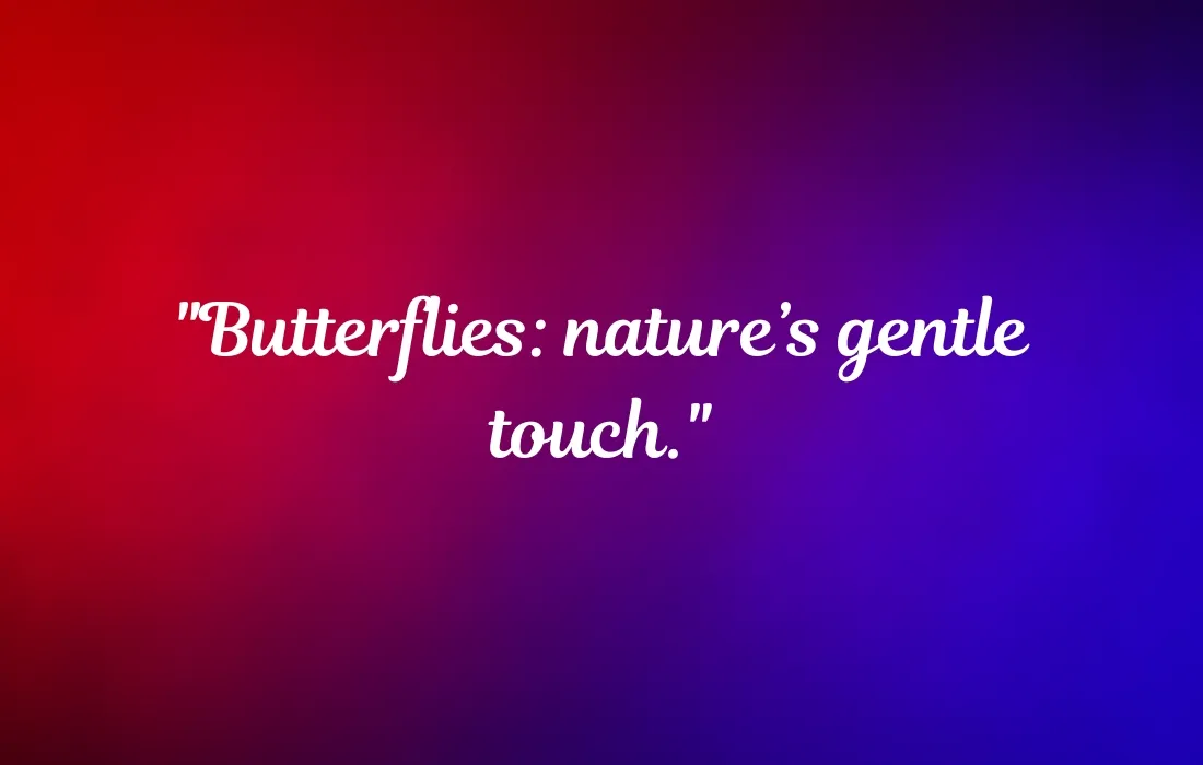 Short Butterfly Quotes