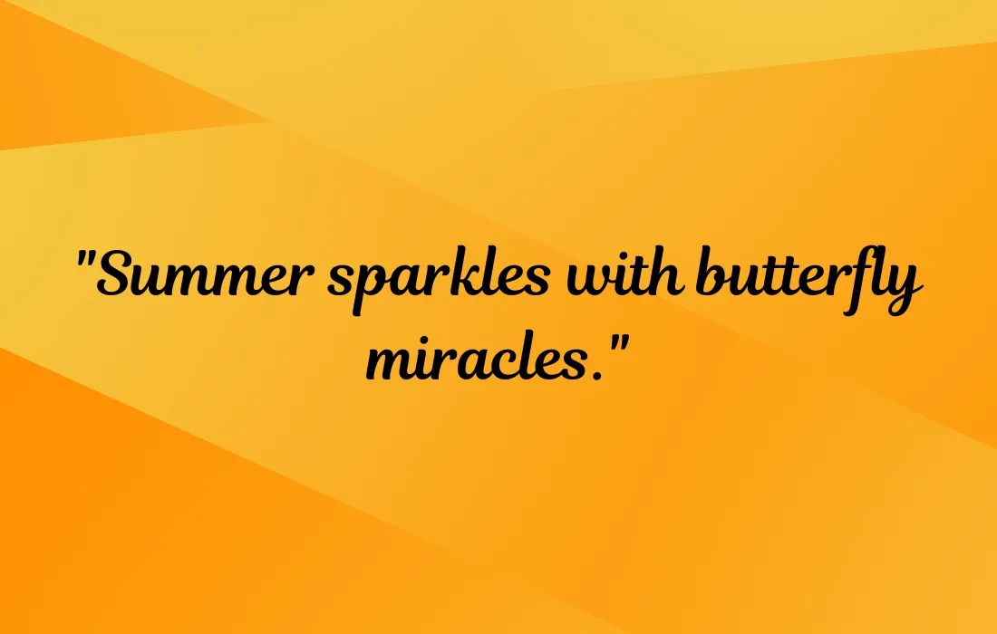 Summer Butterfly Sayings to Shine Bright