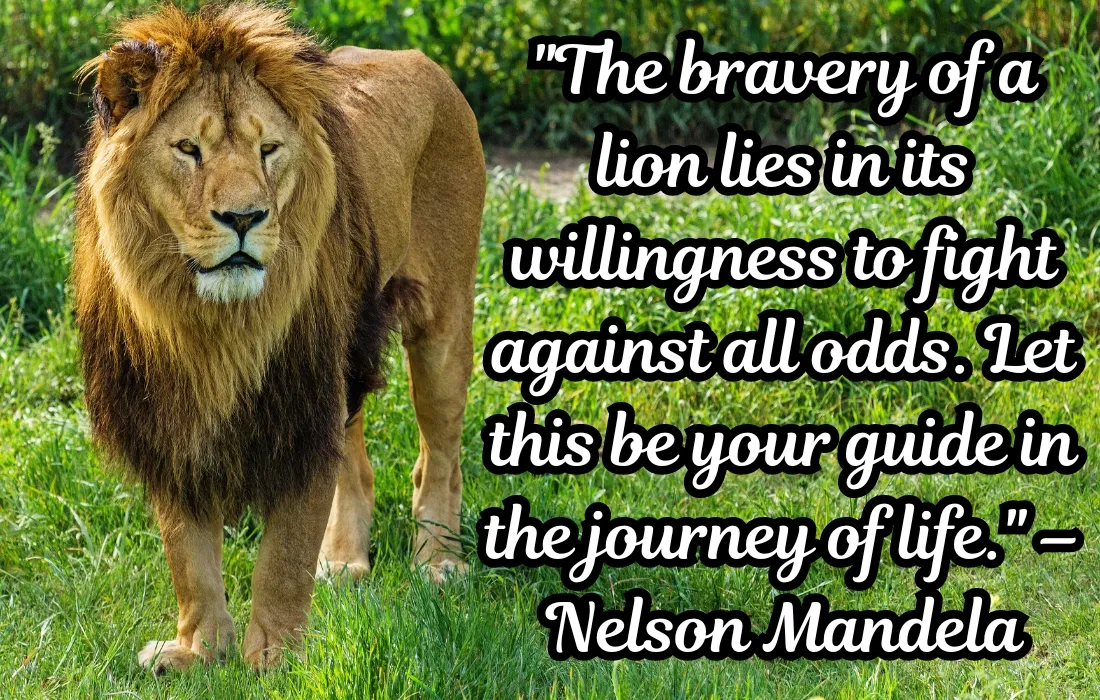 Brave Lion Quotes