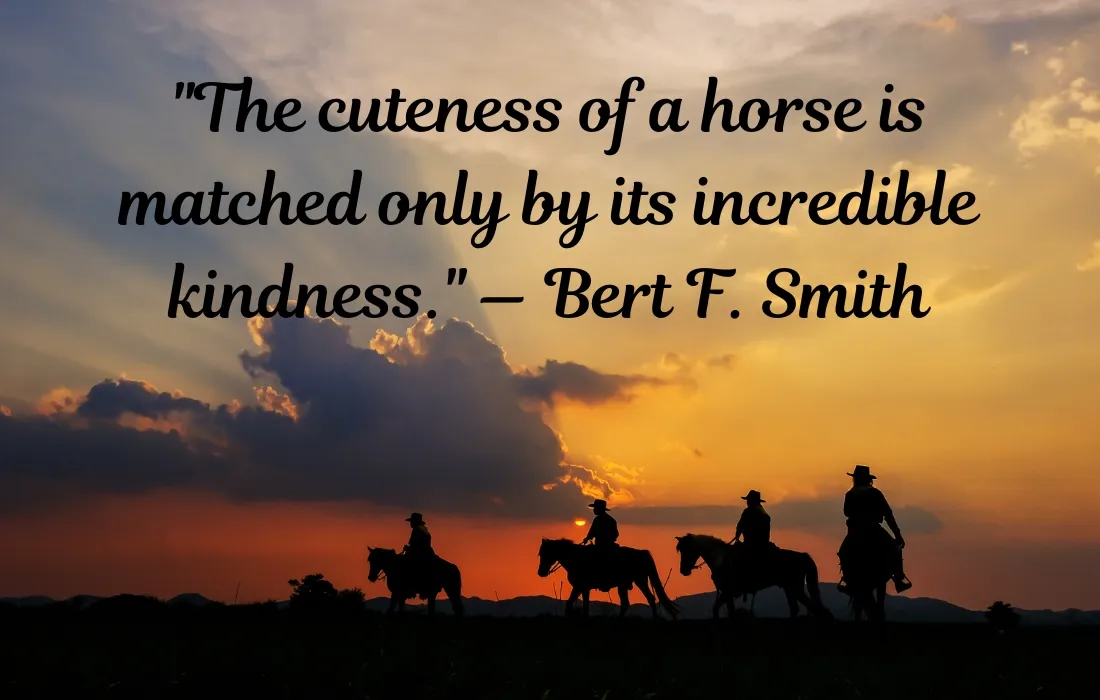 Cute Horse Quotes