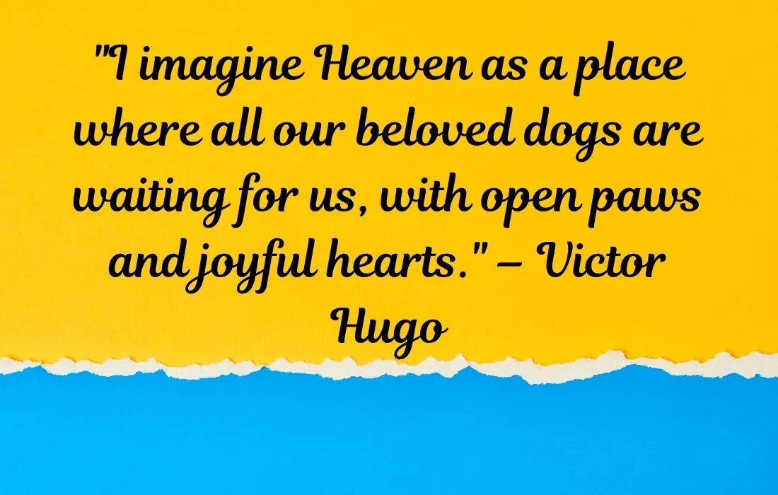 Dog Heaven Quotes