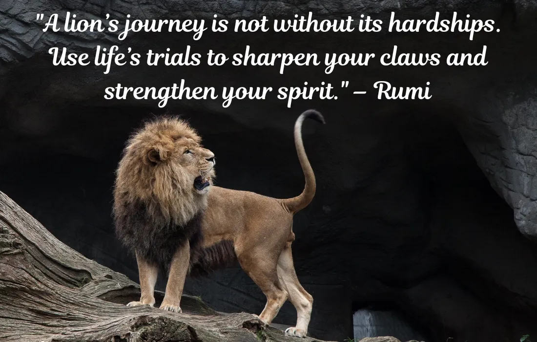 Lion Quotes About Life