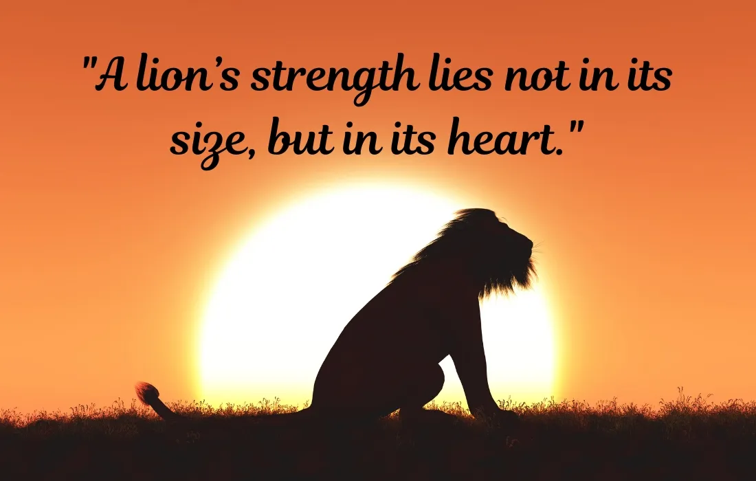 Lion Quotes for Instagram