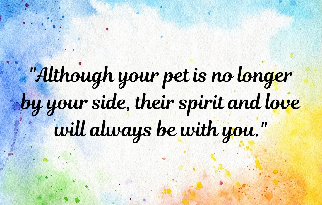 Pet Loss Quotes For Friend