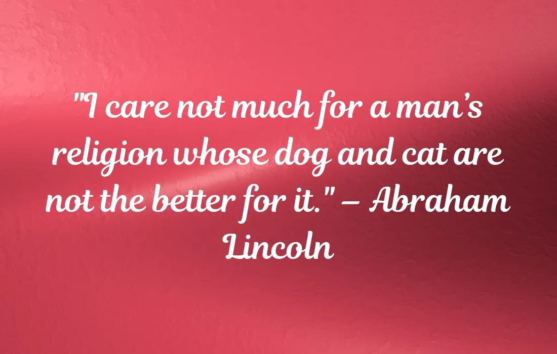 Animal Quotes About Compassion