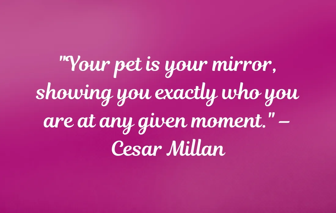 Inspirational Animal Quotes About Your Bond With Your Furry Companion